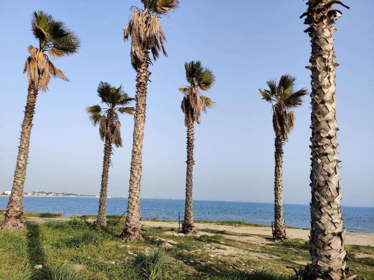 Palm Garden Paradise Перволія Екстер'єр фото